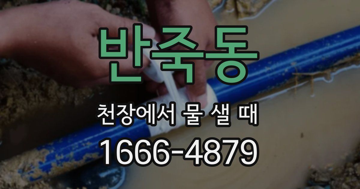 반죽동 천장에서 물 샐 때