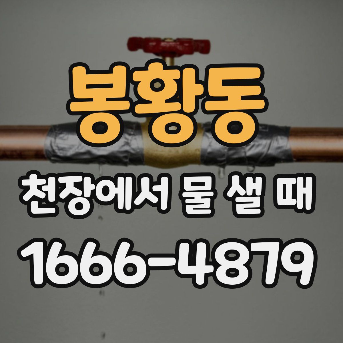 봉황동 천장에서 물 샐 때