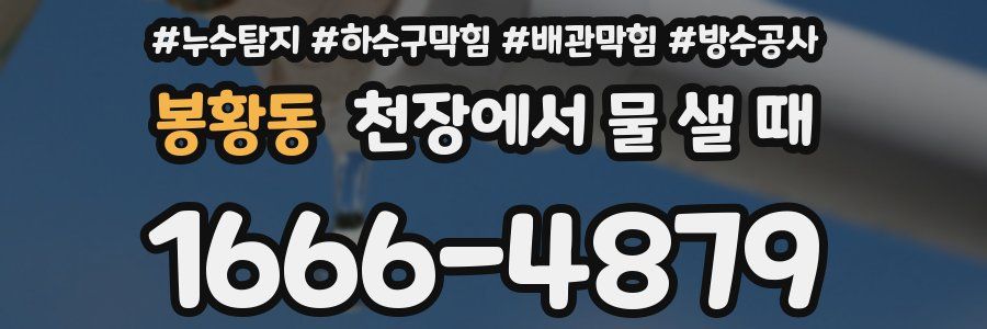 봉황동 천장에서 물 샐 때