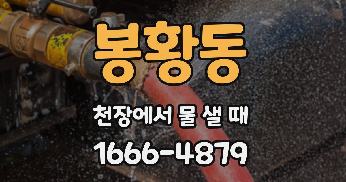 봉황동 천장에서 물 샐 때