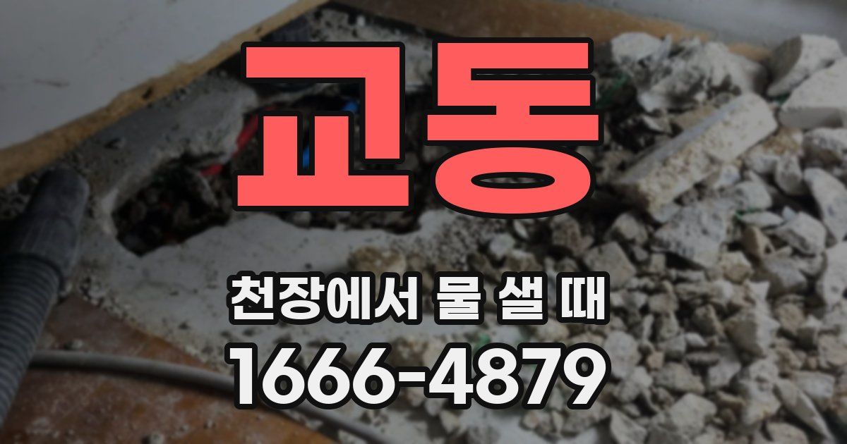 교동 천장에서 물 샐 때