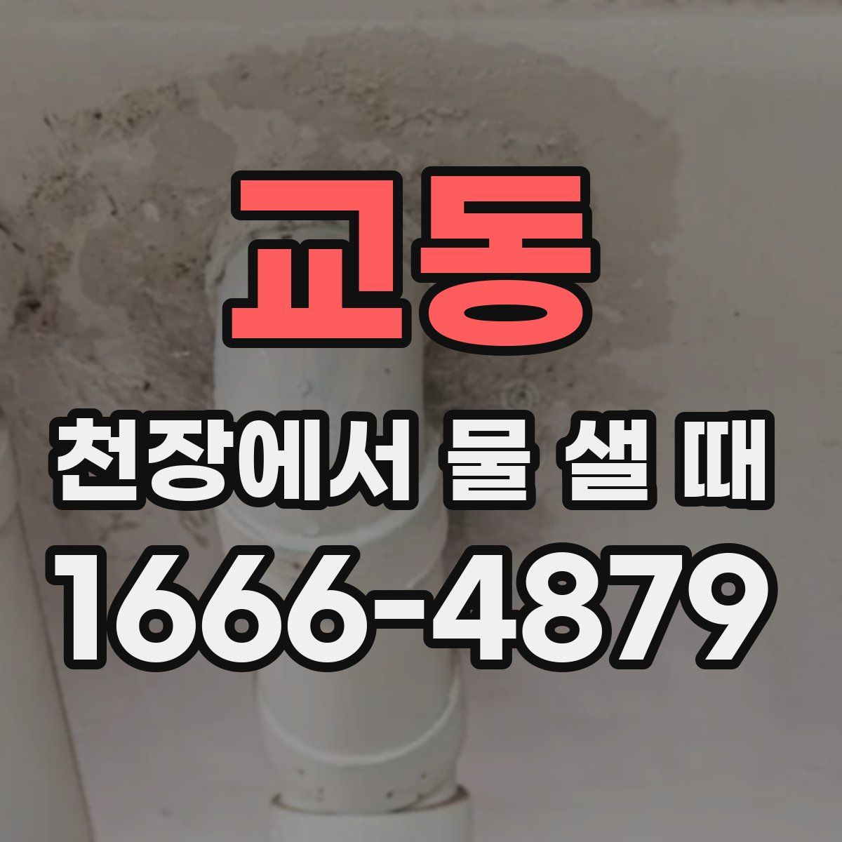 교동 천장에서 물 샐 때