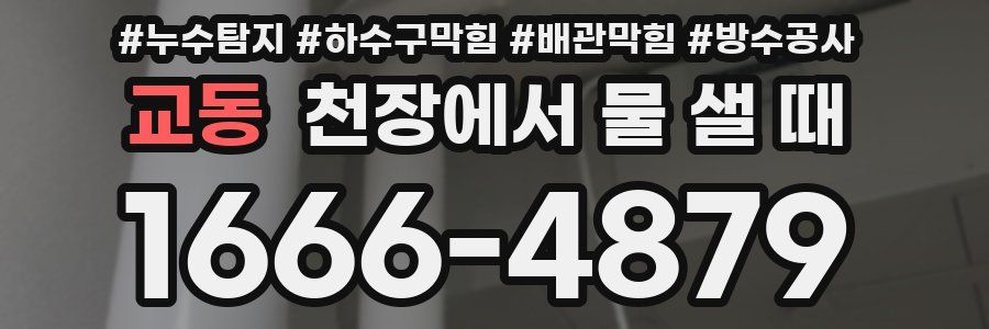 교동 천장에서 물 샐 때