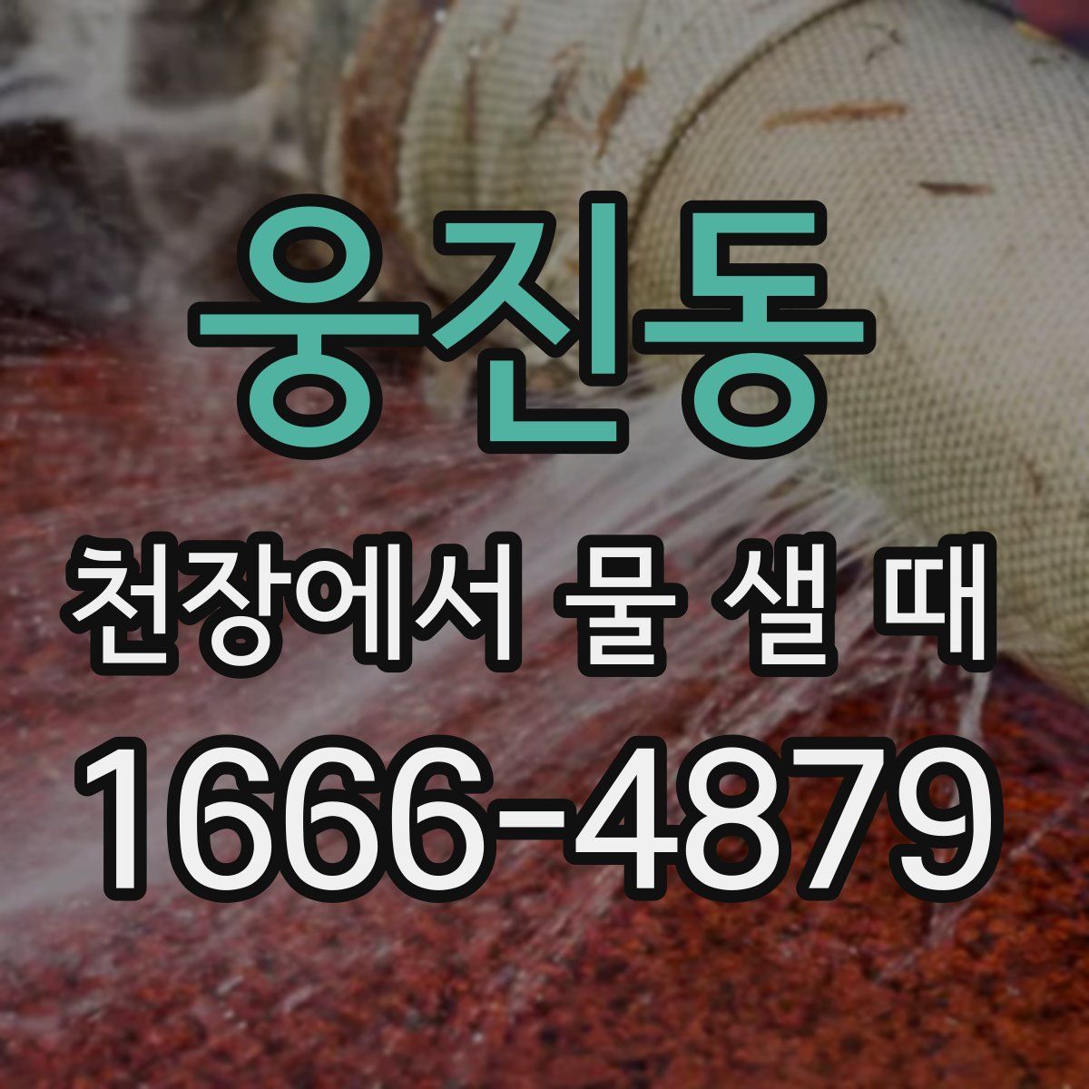 웅진동 천장에서 물 샐 때