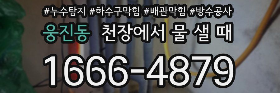 웅진동 천장에서 물 샐 때