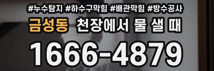 금성동 천장에서 물 샐 때