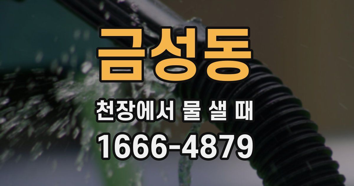 금성동 천장에서 물 샐 때