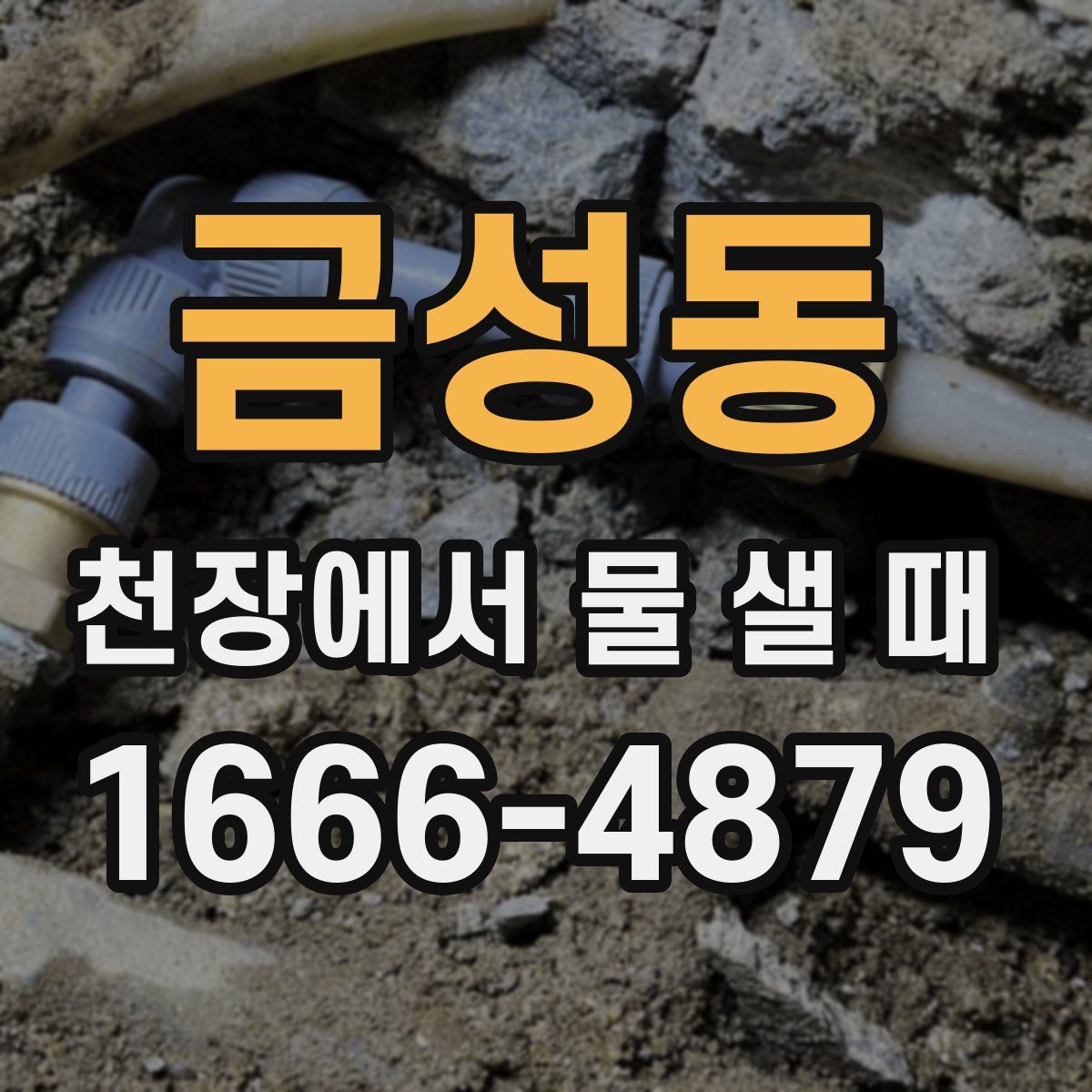 금성동 천장에서 물 샐 때