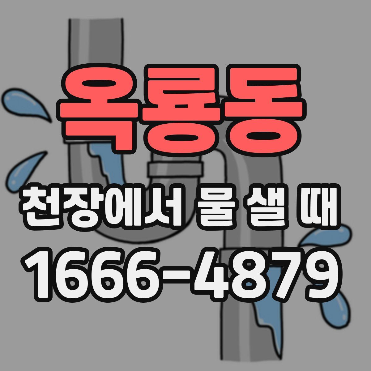 옥룡동 천장에서 물 샐 때