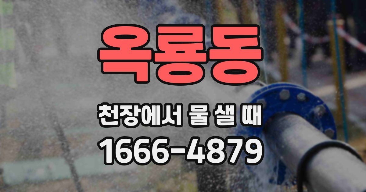 옥룡동 천장에서 물 샐 때