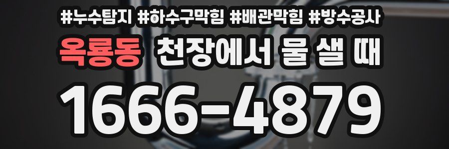 옥룡동 천장에서 물 샐 때