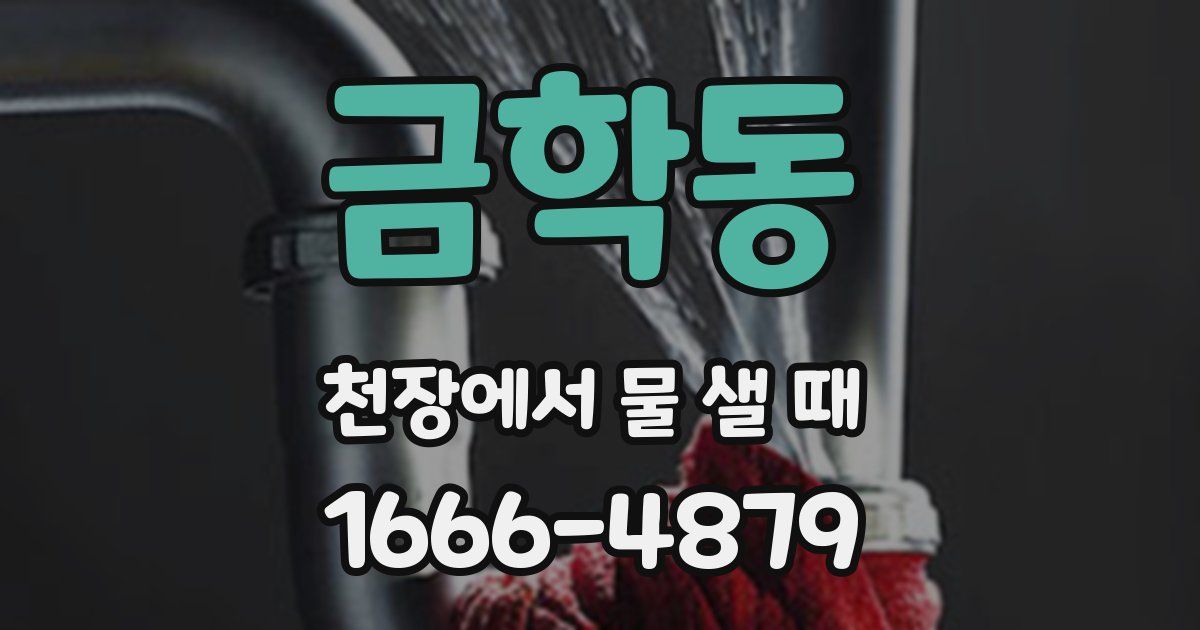 금학동 천장에서 물 샐 때