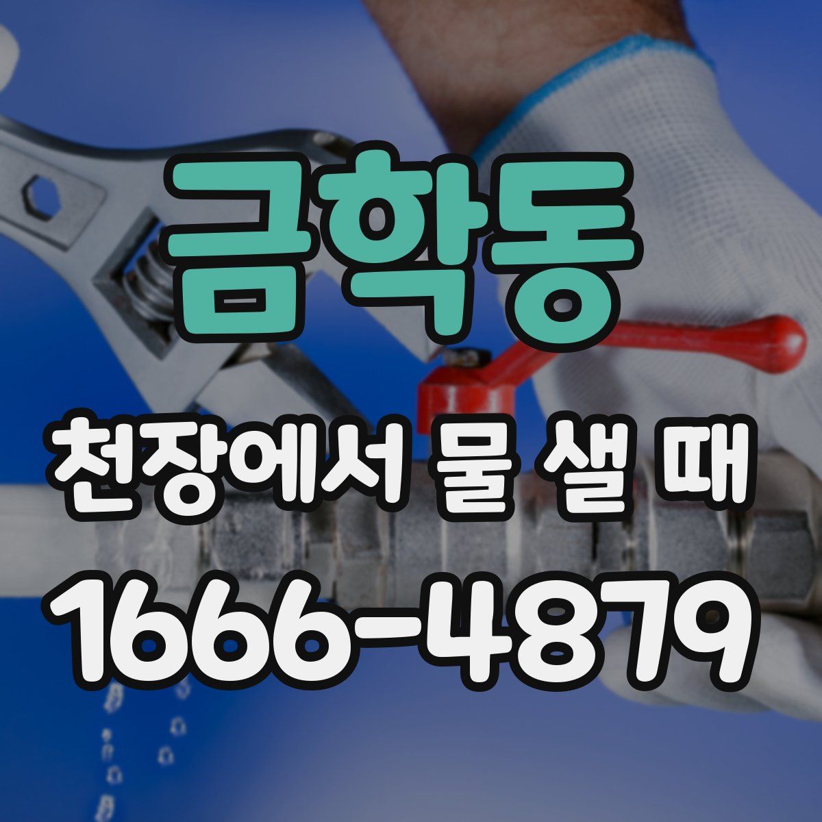 금학동 천장에서 물 샐 때