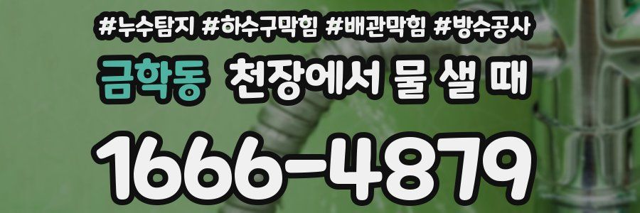 금학동 천장에서 물 샐 때