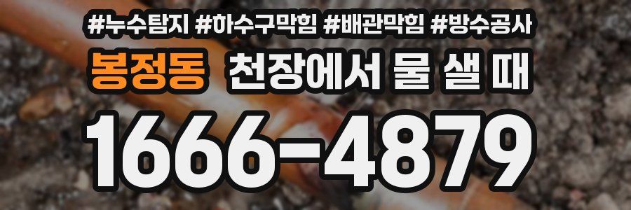 봉정동 천장에서 물 샐 때