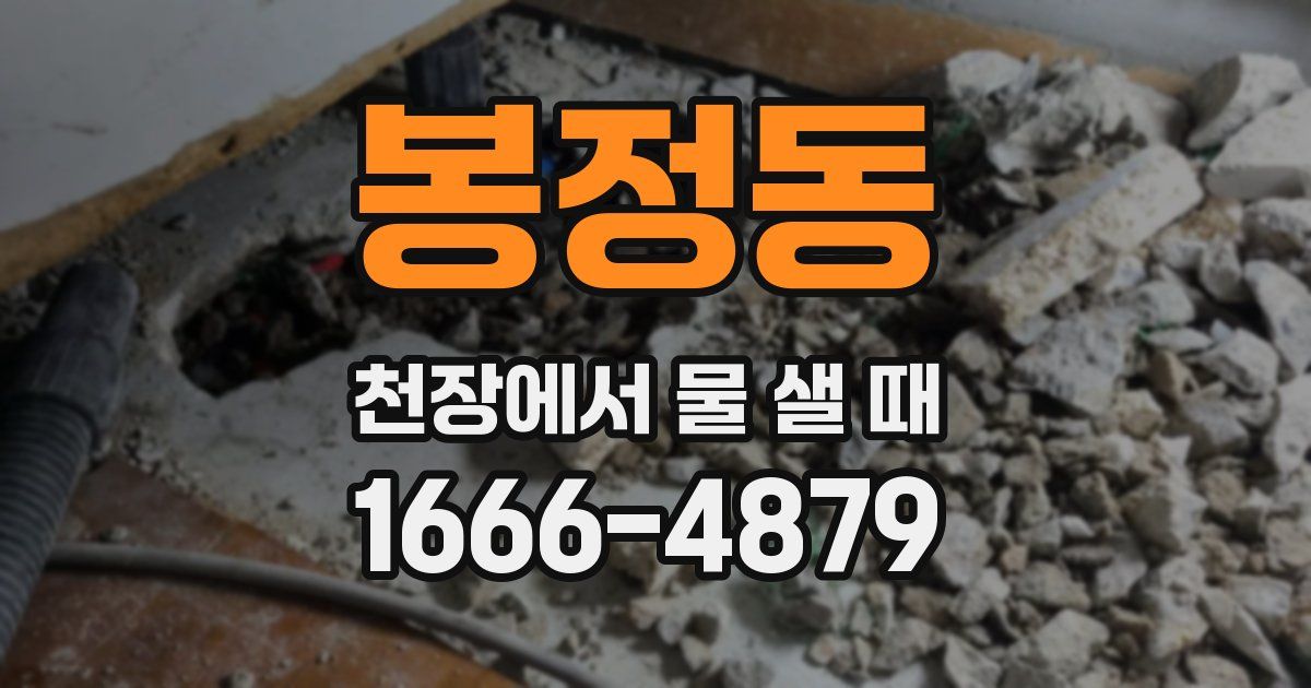 봉정동 천장에서 물 샐 때
