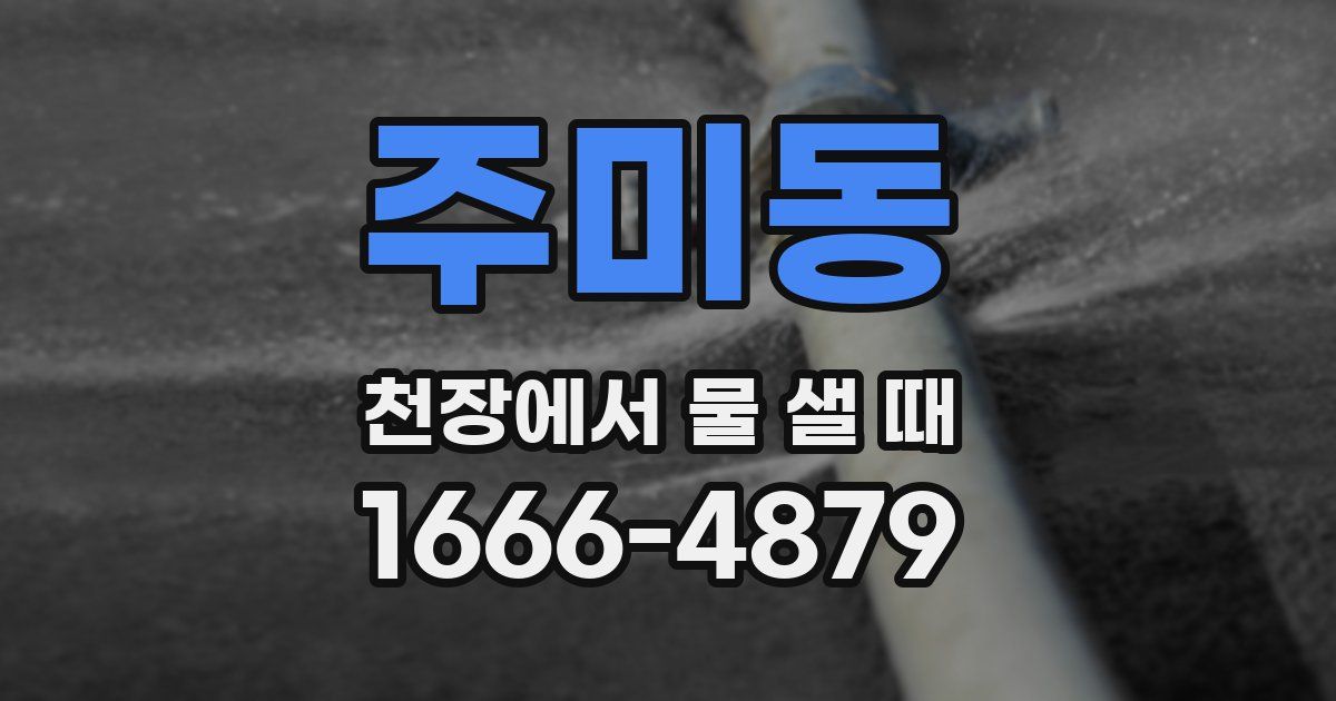 주미동 천장에서 물 샐 때