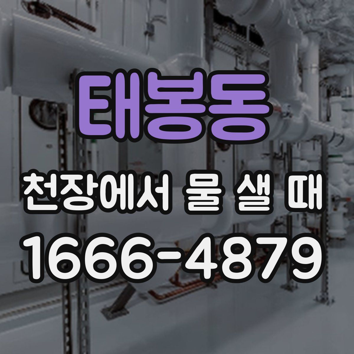 태봉동 천장에서 물 샐 때