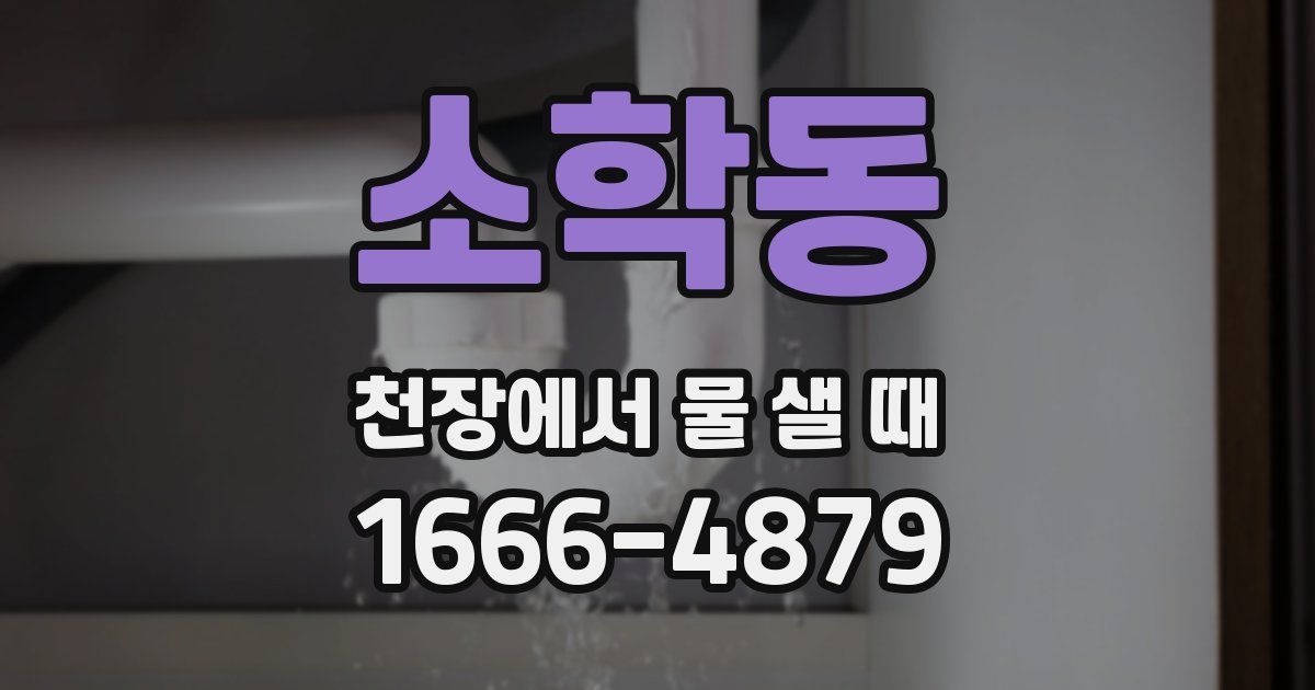 소학동 천장에서 물 샐 때
