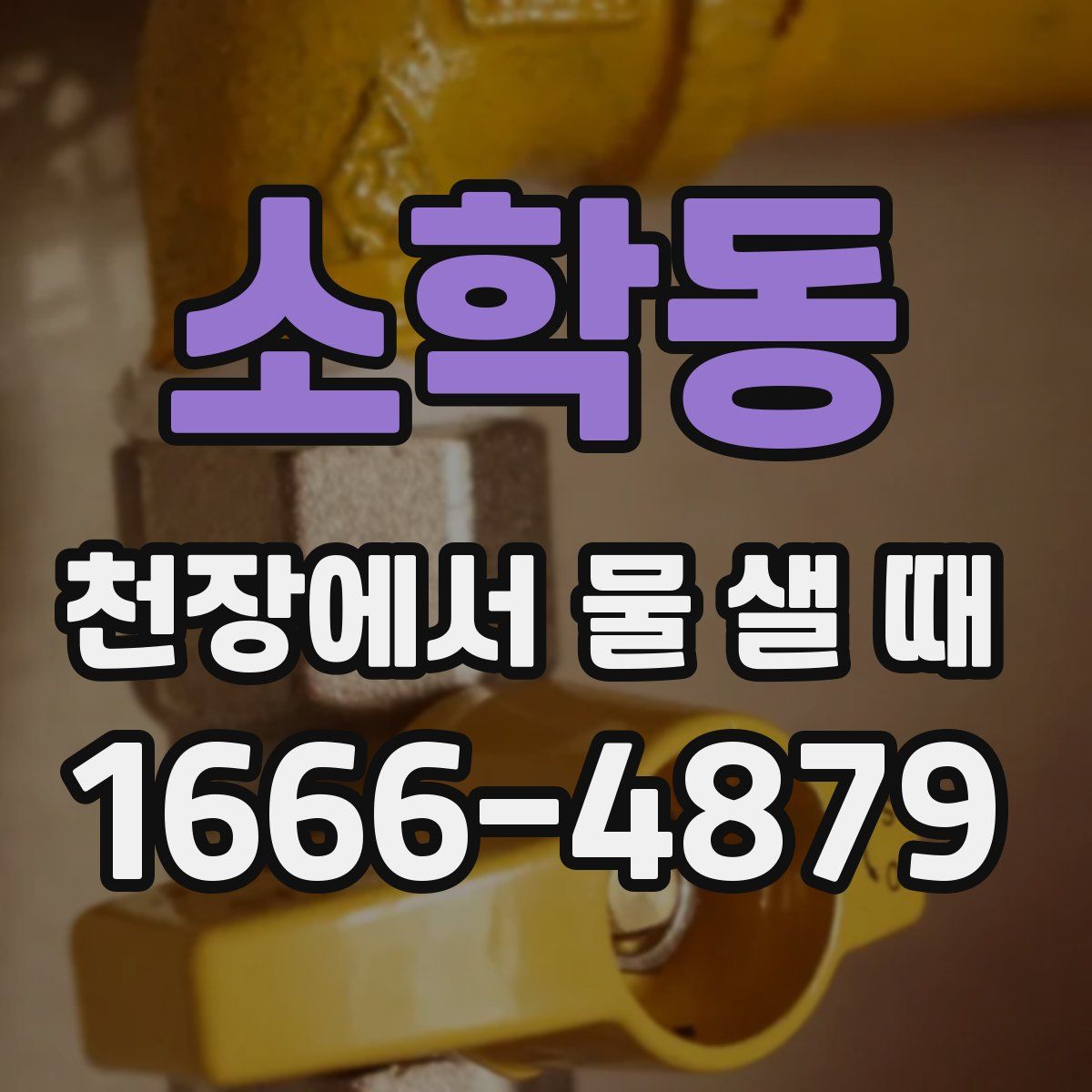 소학동 천장에서 물 샐 때