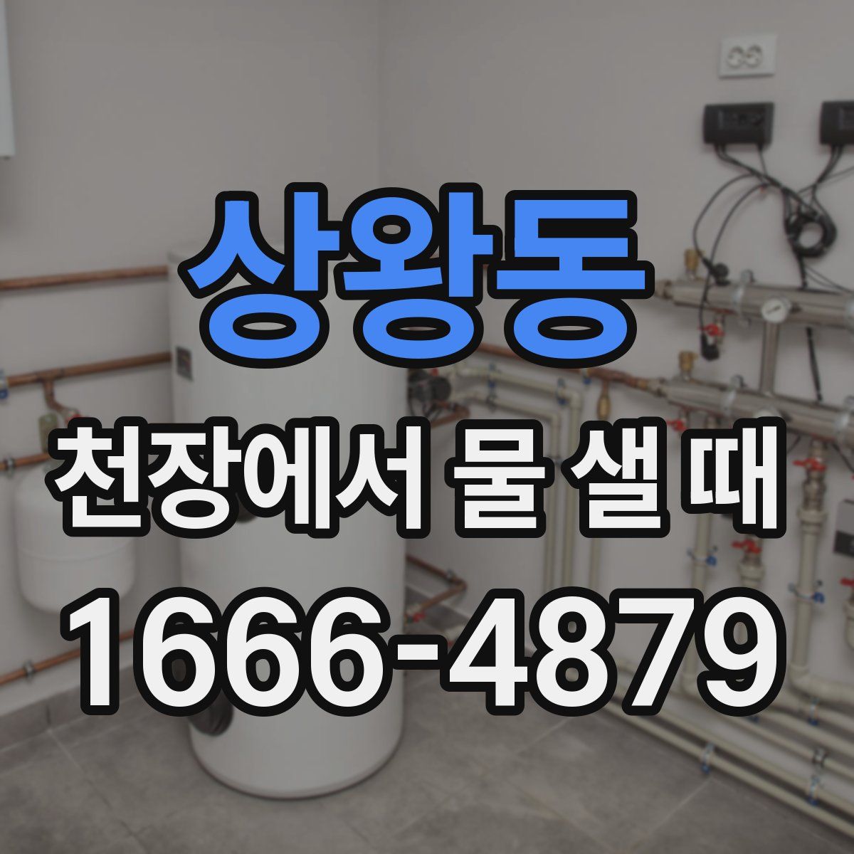 상왕동 천장에서 물 샐 때