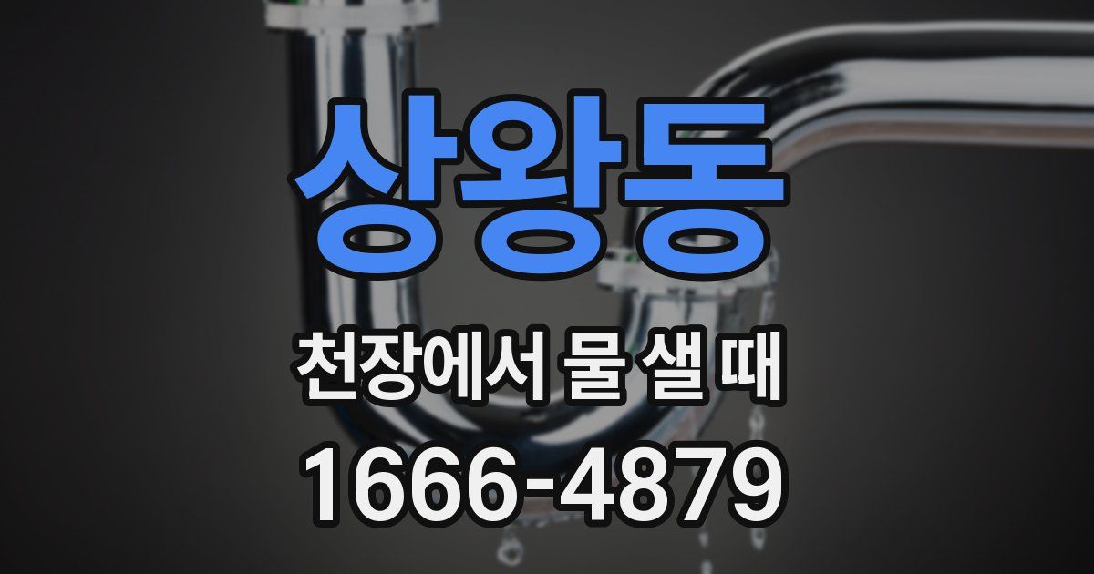 상왕동 천장에서 물 샐 때