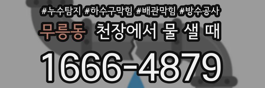 무릉동 천장에서 물 샐 때