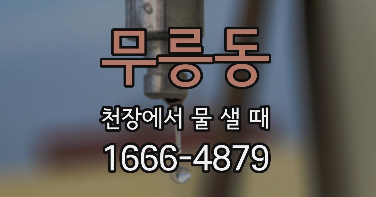 무릉동 천장에서 물 샐 때