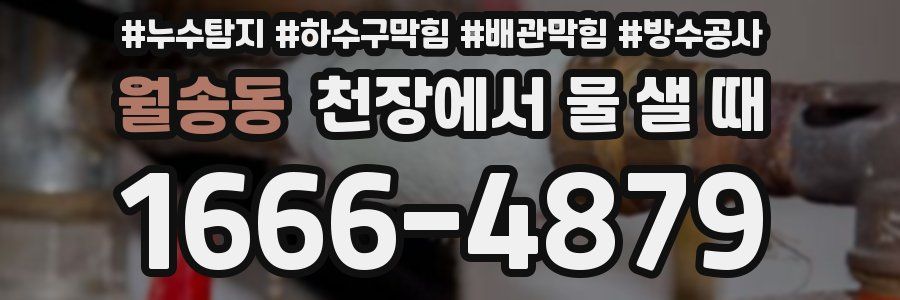 월송동 천장에서 물 샐 때