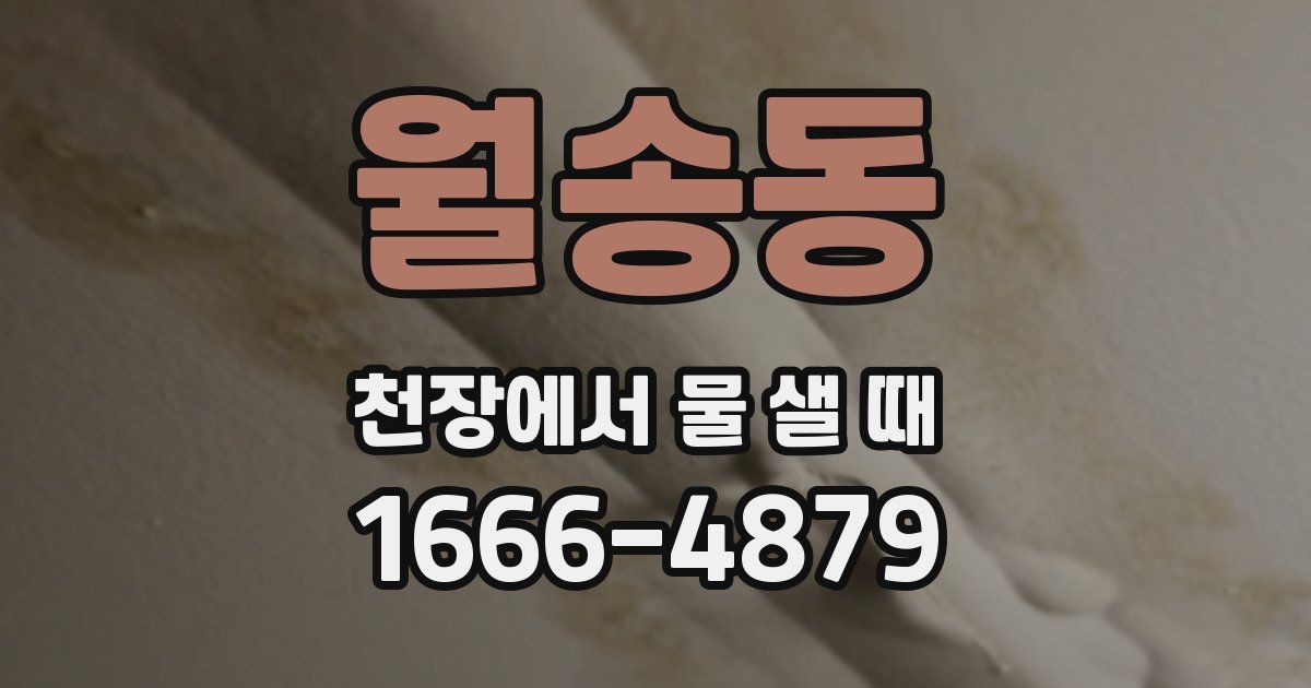 월송동 천장에서 물 샐 때