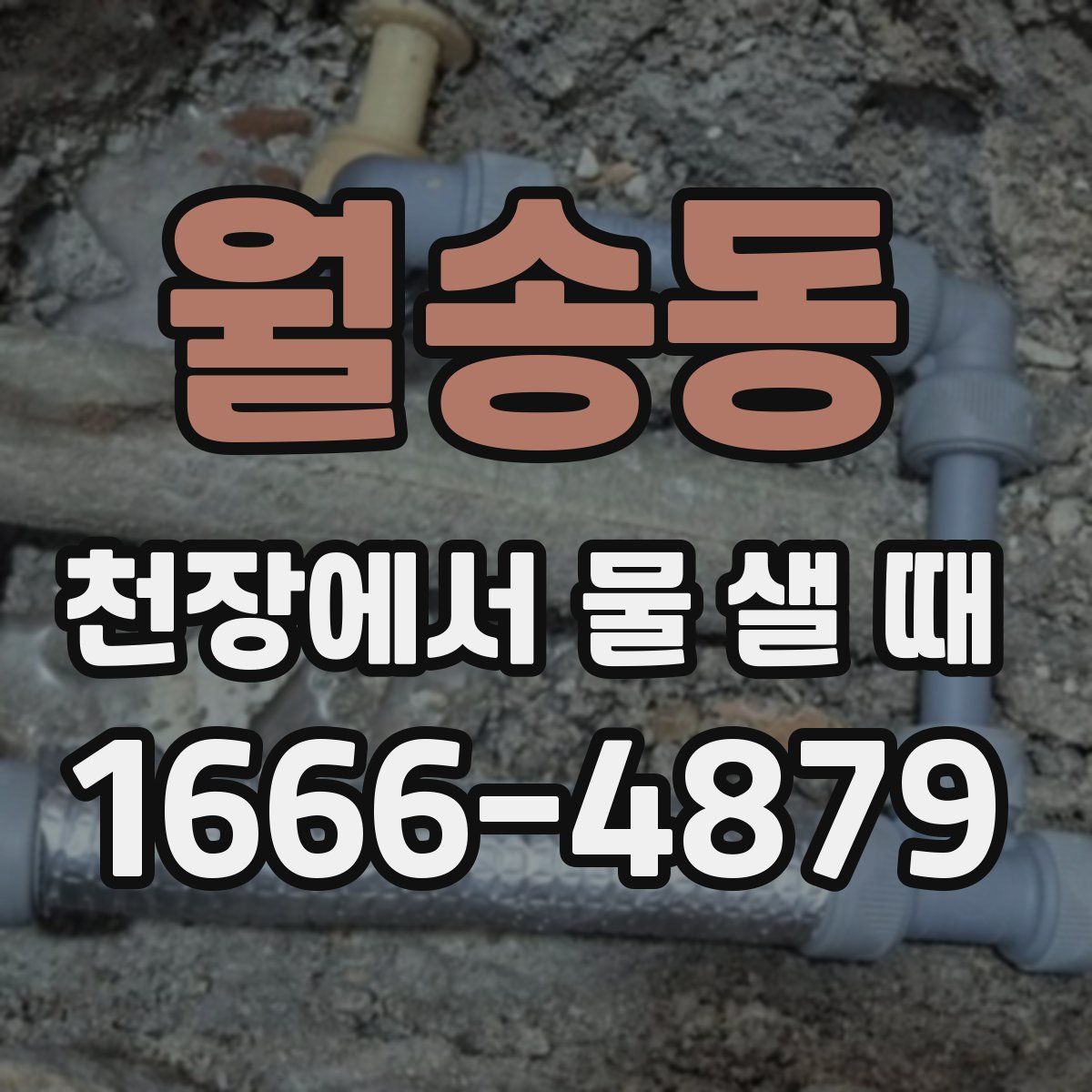 월송동 천장에서 물 샐 때