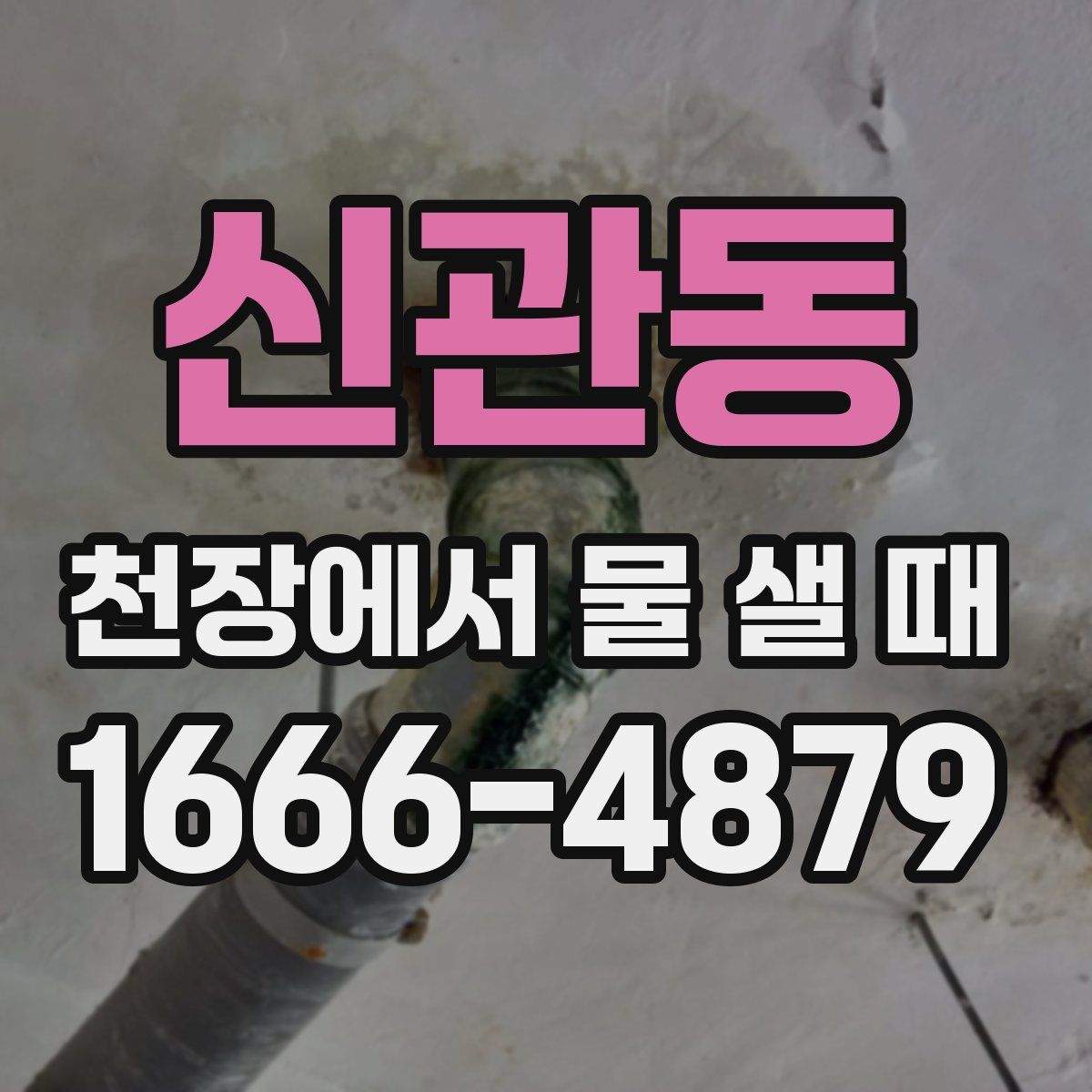 신관동 천장에서 물 샐 때