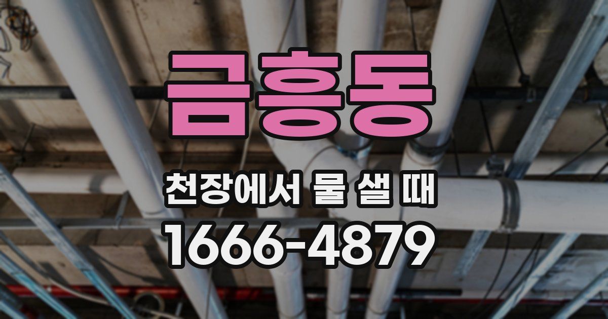 금흥동 천장에서 물 샐 때