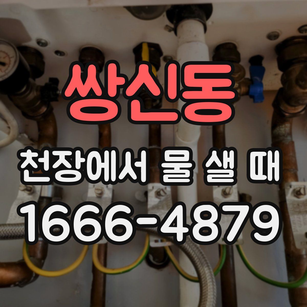 쌍신동 천장에서 물 샐 때