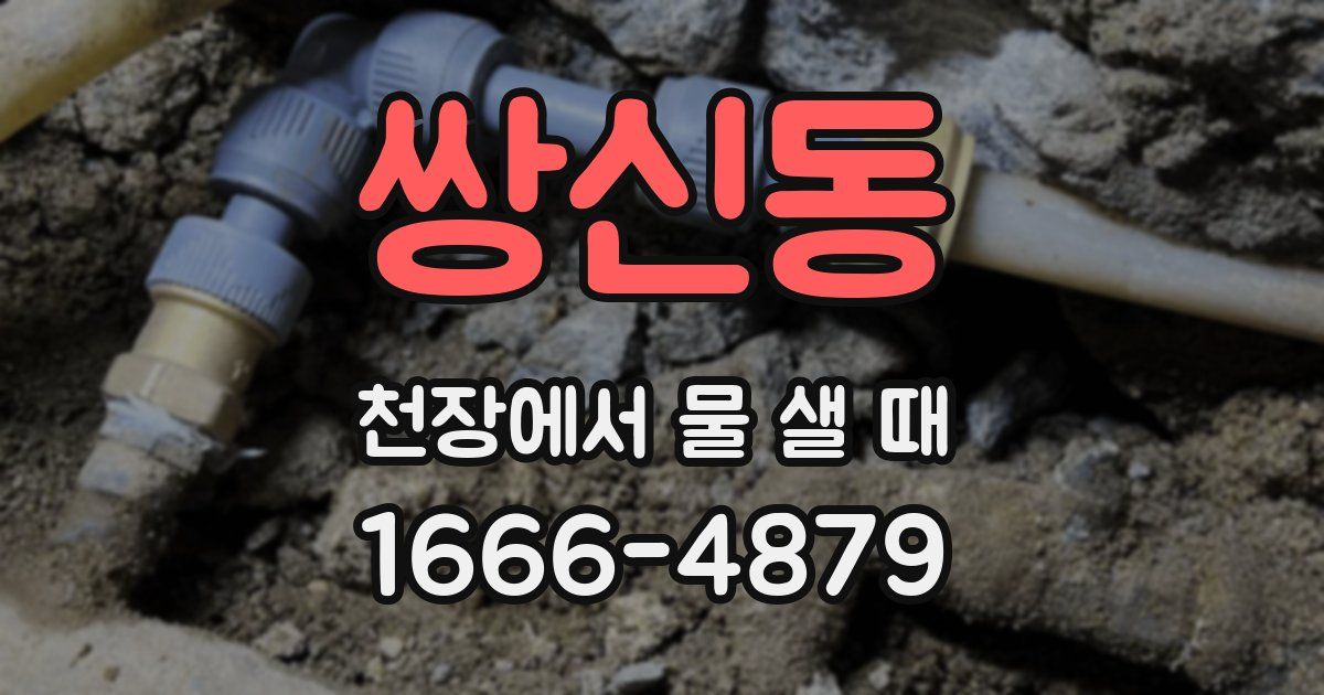 쌍신동 천장에서 물 샐 때