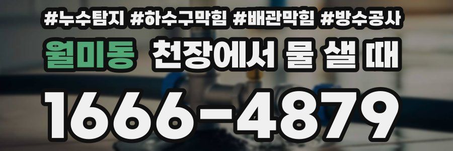 월미동 천장에서 물 샐 때