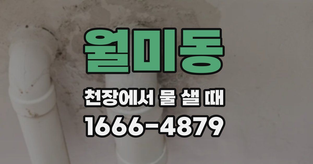 월미동 천장에서 물 샐 때