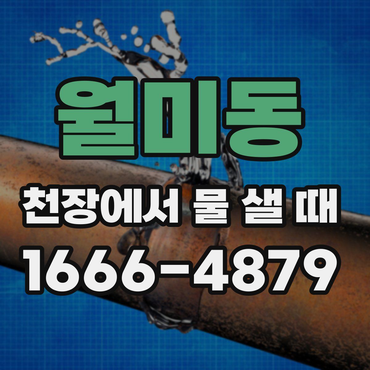 월미동 천장에서 물 샐 때