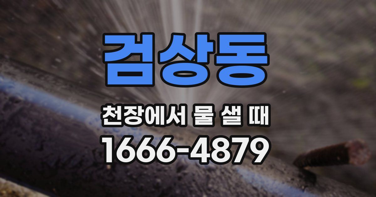 검상동 천장에서 물 샐 때