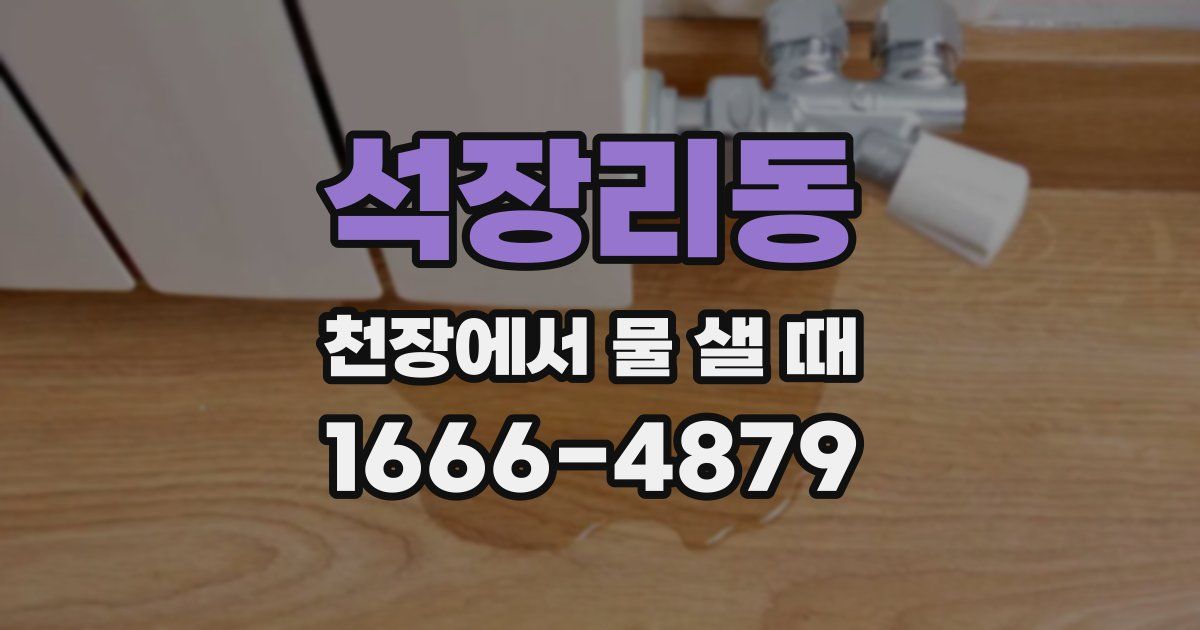 석장리동 천장에서 물 샐 때