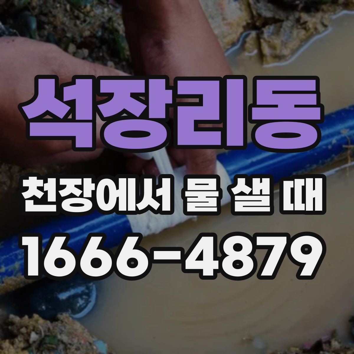석장리동 천장에서 물 샐 때