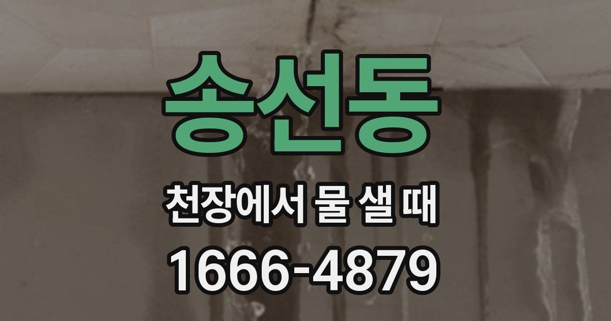 송선동 천장에서 물 샐 때