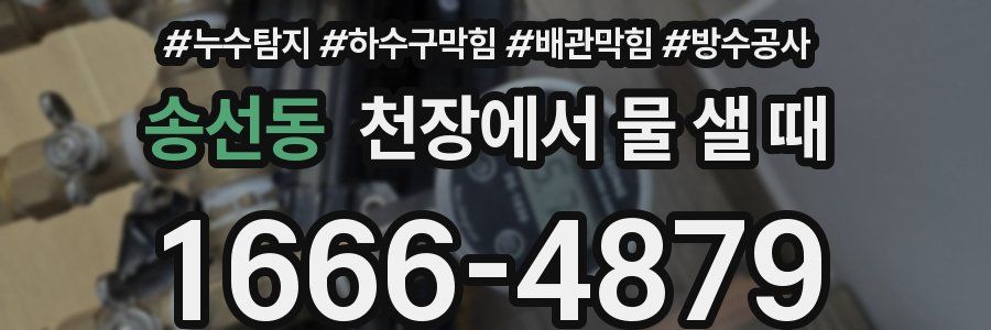 송선동 천장에서 물 샐 때