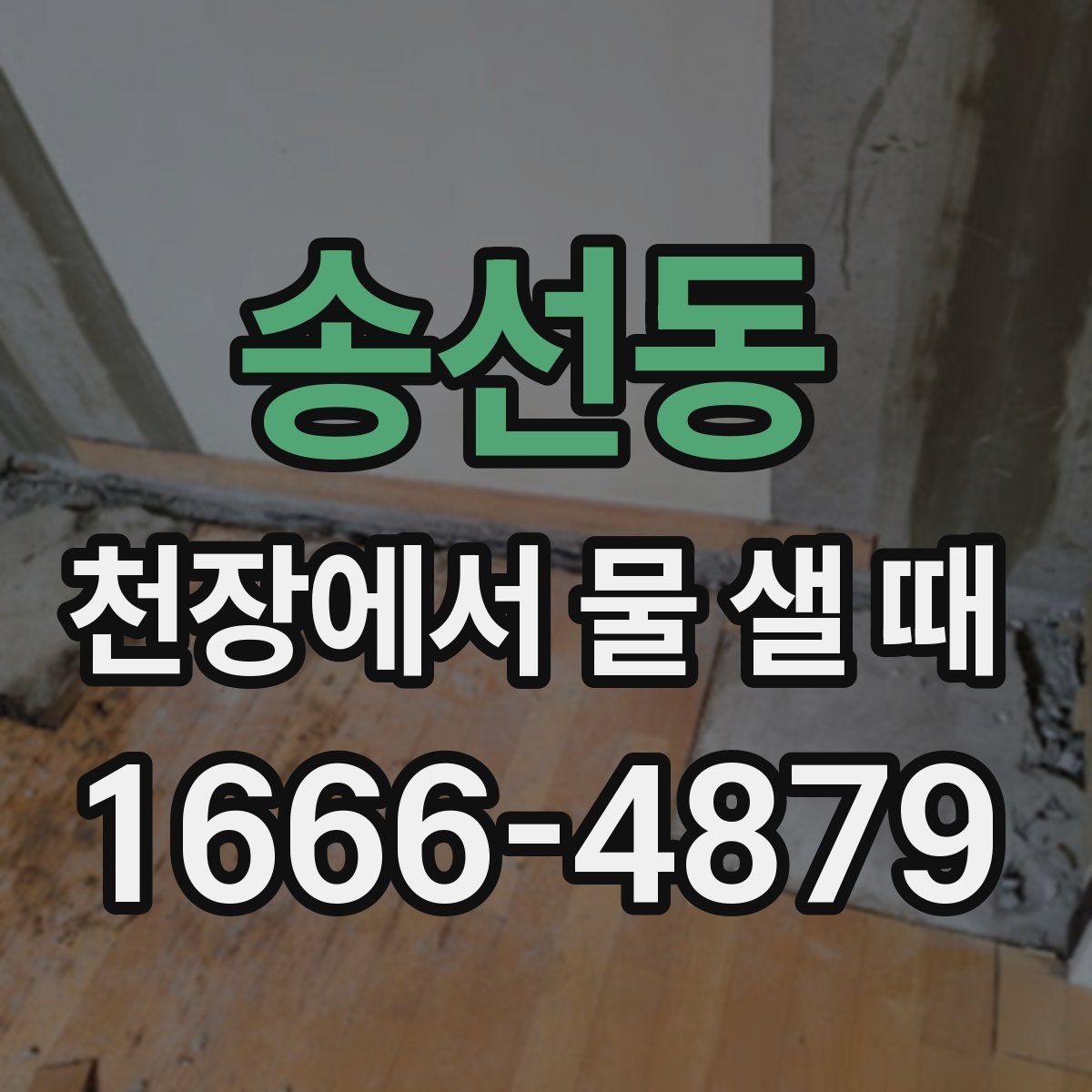 송선동 천장에서 물 샐 때