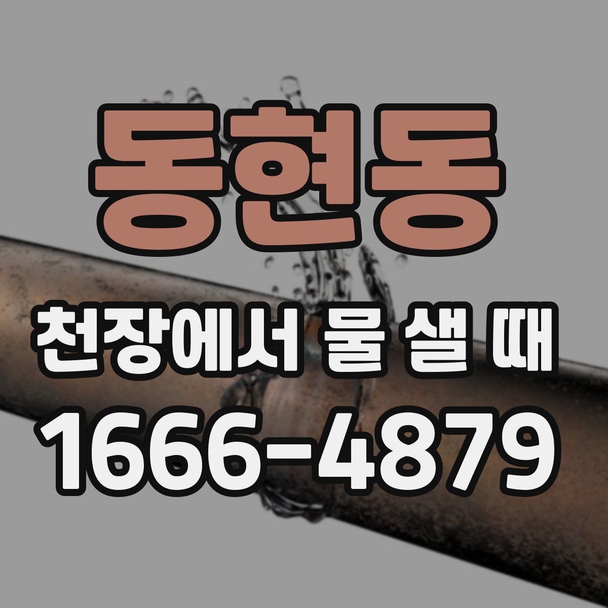 동현동 천장에서 물 샐 때