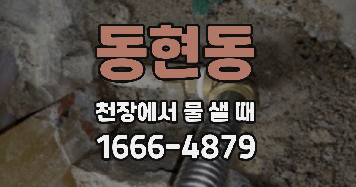 동현동 천장에서 물 샐 때