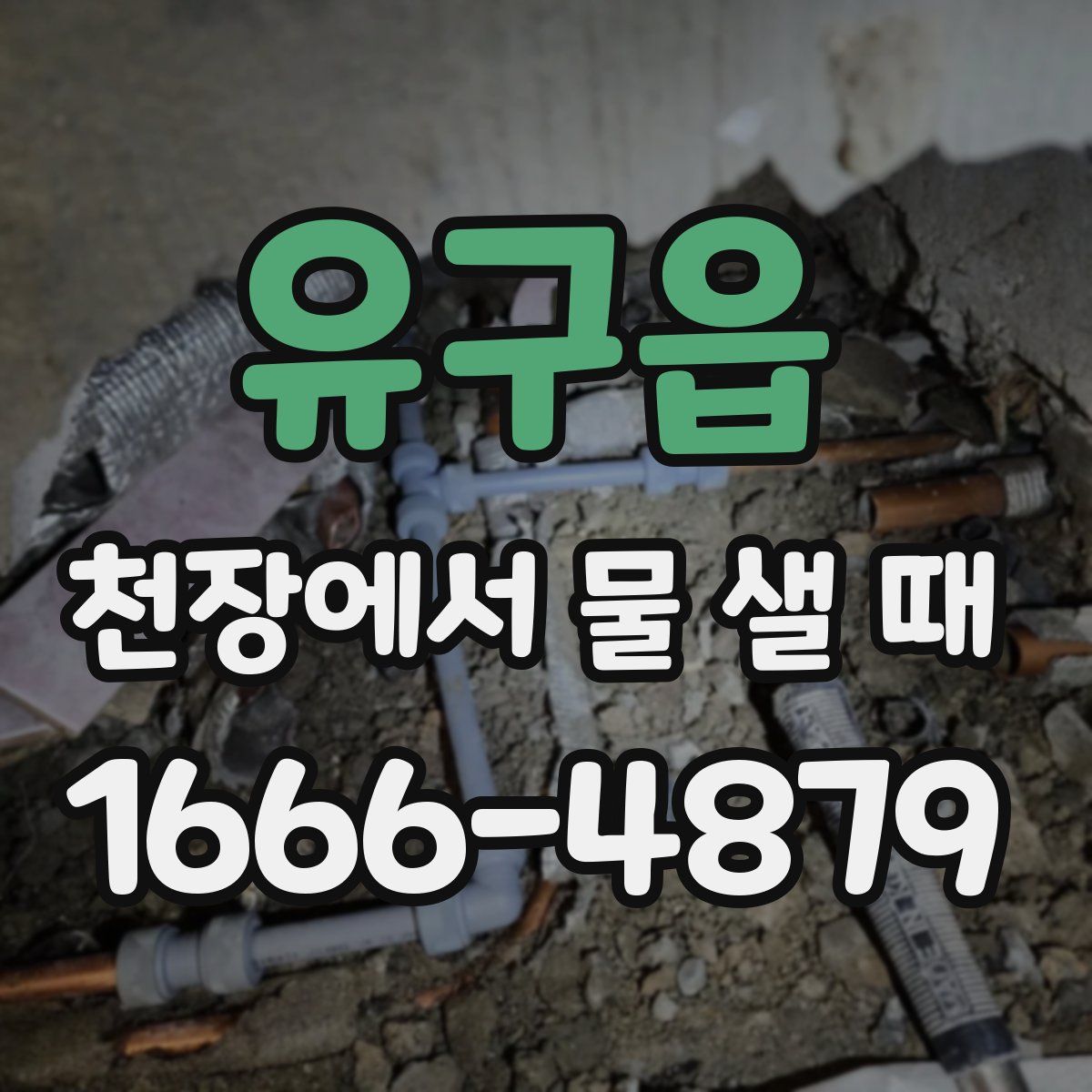 유구읍 천장에서 물 샐 때