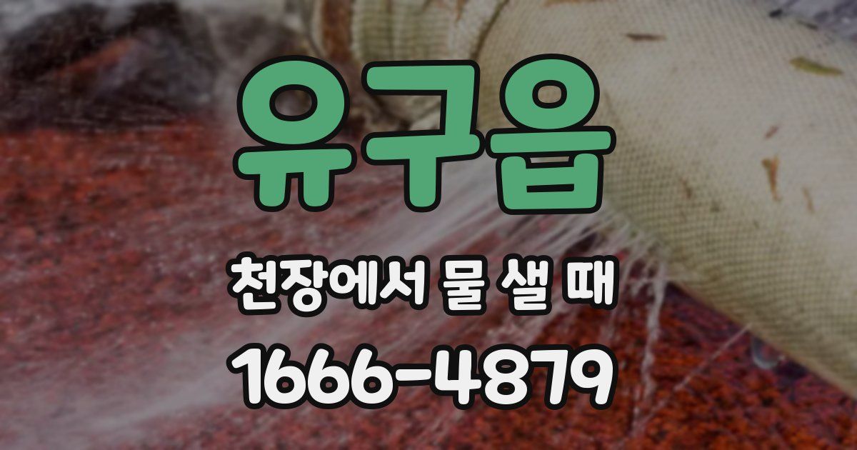 유구읍 천장에서 물 샐 때