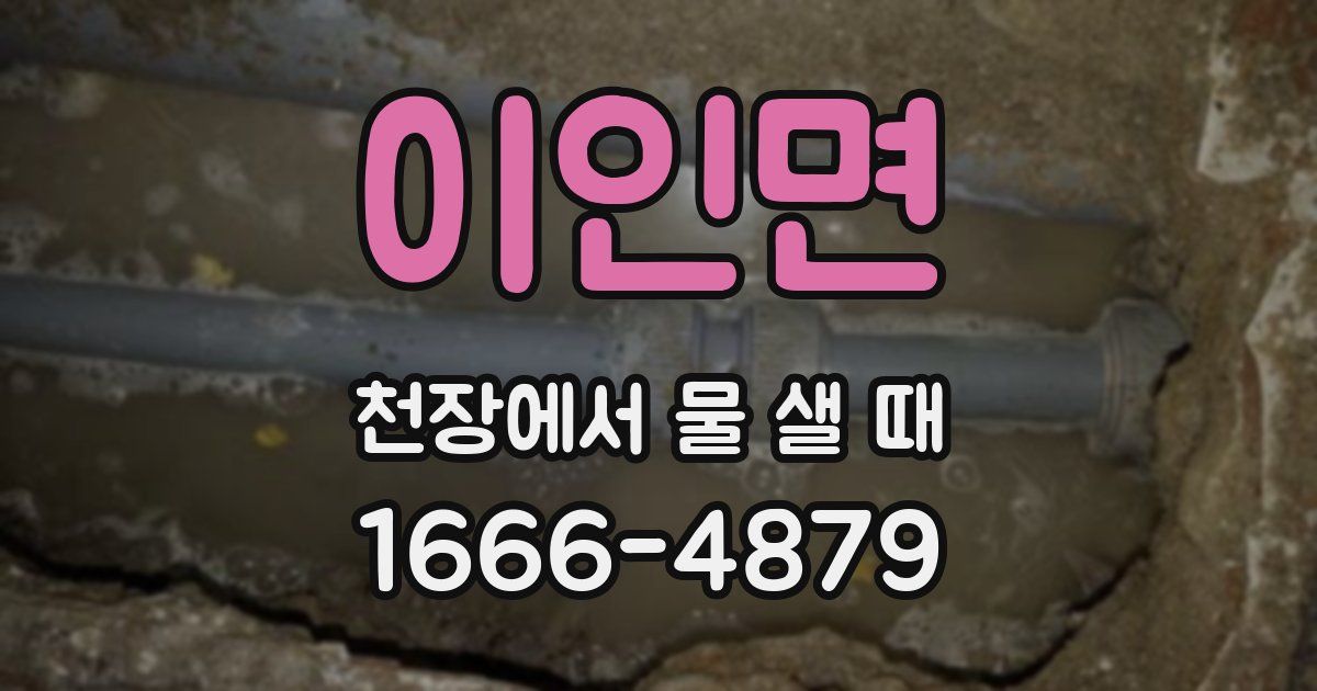 이인면 천장에서 물 샐 때