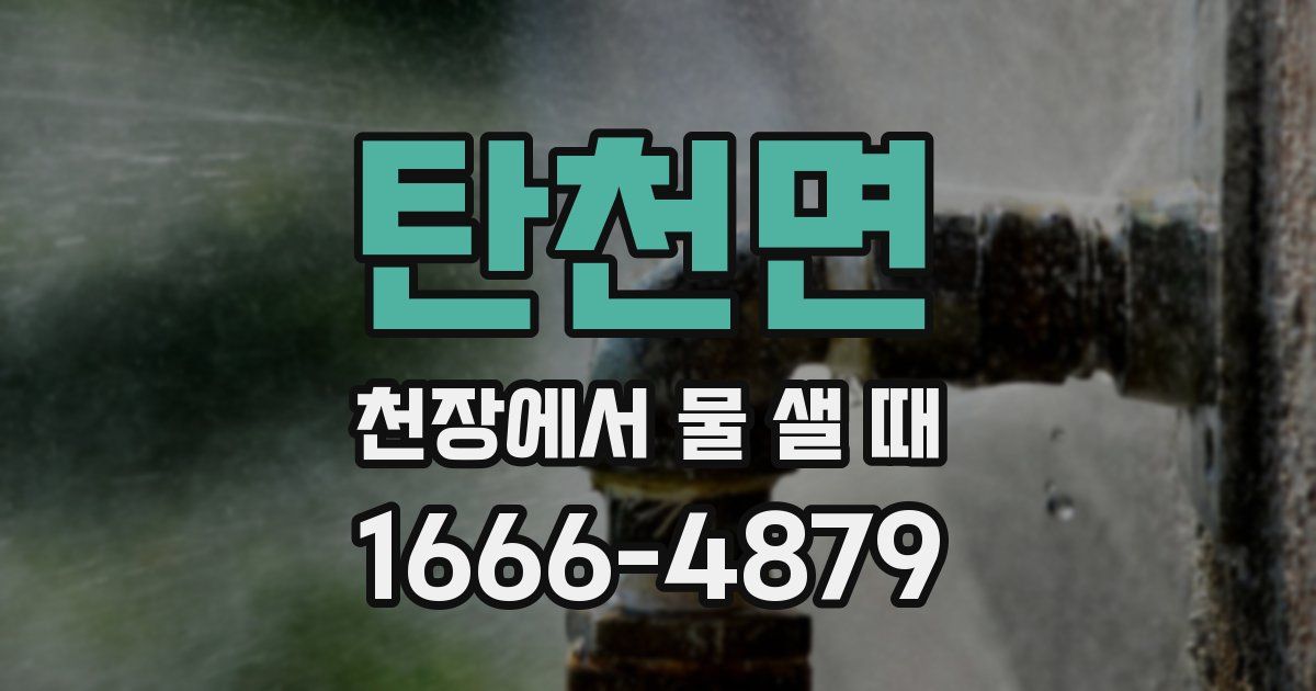 탄천면 천장에서 물 샐 때